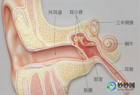 耳朵出血了怎么办,耳膜流血了怎么办
