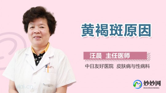 王根会,王根会_医生预约挂号_出诊时间-河北省中医院