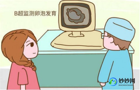 胎位rot,胎位rot是什么意思
