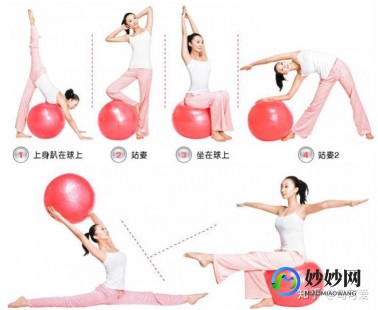 韵律球,韵律球 为你打造黄金比例身材