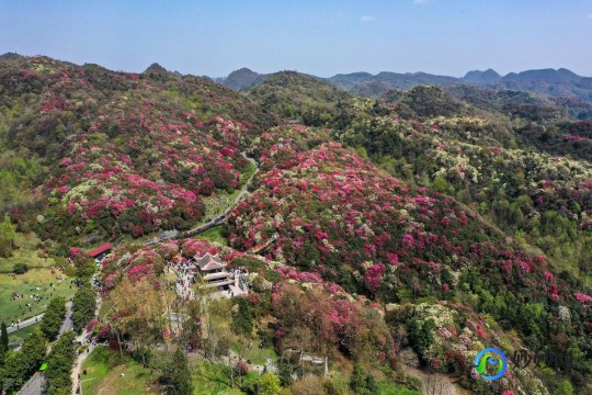 天龙八部3怎么样,天龙八部3游戏评测与攻略