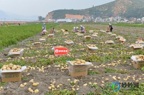 网上红心大战怎么玩,红心大战的玩法,红心大战手游玩法全攻略、单机游戏红心大战怎样玩