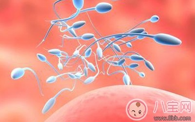 精子少怎么办,精子过少怎么补