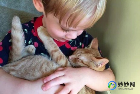 千万不要给孩子养猫,家里有小孩养猫的危害