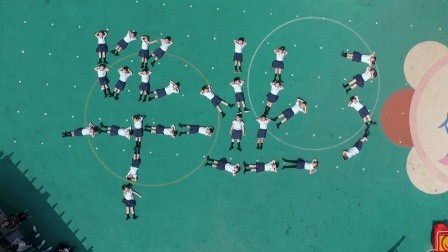 LASTDAYONEARTH杂交过程,Last Day on Earth-杂交完成的标志是什么