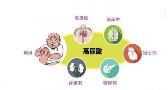 尿酸高有什么危害,尿酸偏高的后果