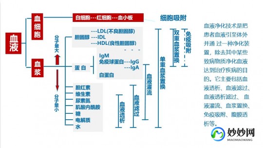 血液净化,什么是血液净化
