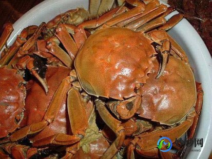 煮蟹,螃蟹要煮多长时间