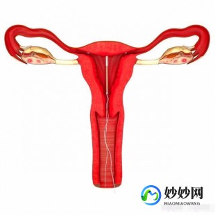 小方法怎么知道怀孕,如何才知道自己怀孕了