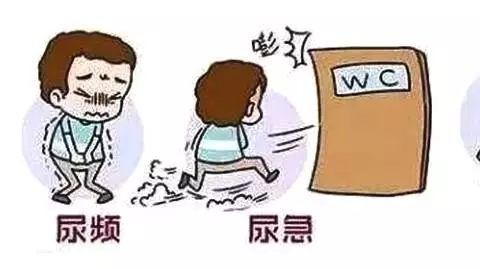 同房之后尿频尿急是怎么回事,做了爱后尿频尿急尿不尽