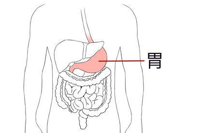 上颚,上颚在哪图解