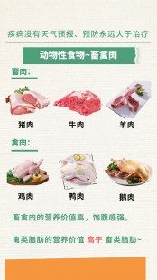 肉的营养价值,猪肉的营养价值有哪些