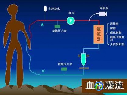 血流灌注,血液灌注会造成怎样的风险