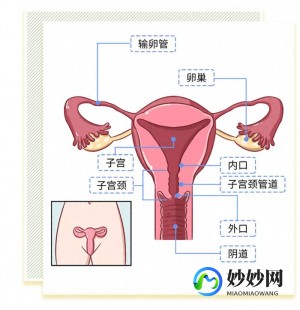 女人下面紧,阴紧是什么原因