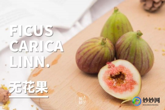 乌梅的功效,乌梅的功效
