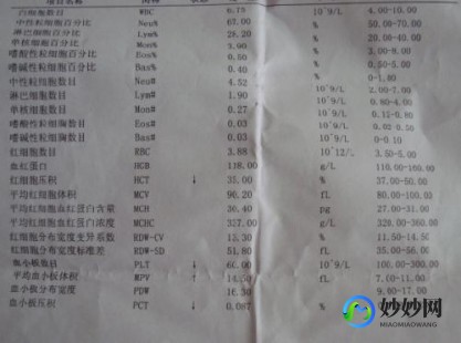 怎么查贫血,通过哪些检查可以诊断贫血