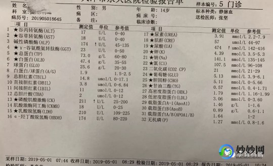 血尿酸是什么意思,血尿酸是什么？