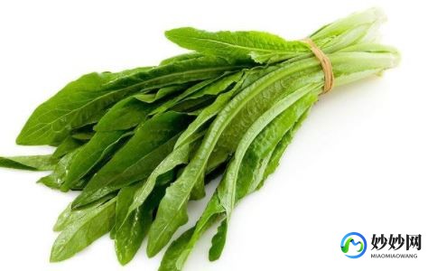 最有营养的蔬菜,盘点超有营养的10大蔬菜