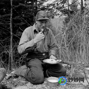 高山走廊伐木场,高山走廊伐木场,攻略探索高山走廊伐木场,木材资源的宝库