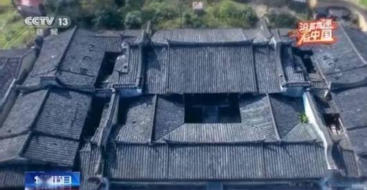 竹子是生长速度最快的植物蚂蚁庄园,蚂蚁庄园竹子快速生长秘籍,打造你的绿色帝国!