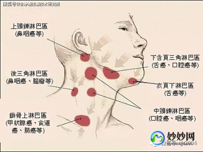 耳后淋巴结,耳朵后面淋巴结