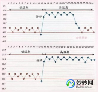 怀孕初期体温,刚怀孕体温多少正常