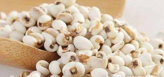 薏米怎么吃,薏米怎么吃比较营养？推荐3种家常吃法