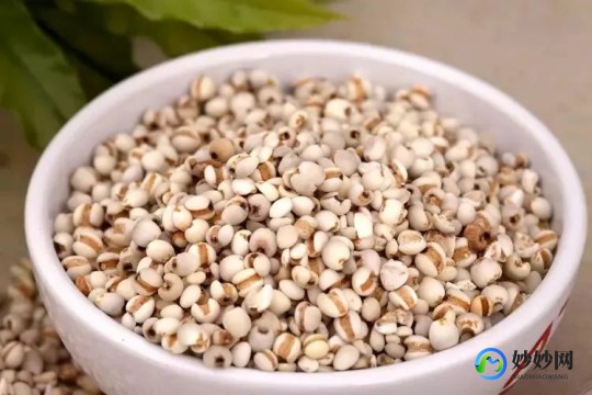薏米怎么吃,薏米怎么吃比较营养？推荐3种家常吃法