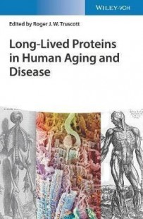 蛋白质英文,什么是蛋白质？