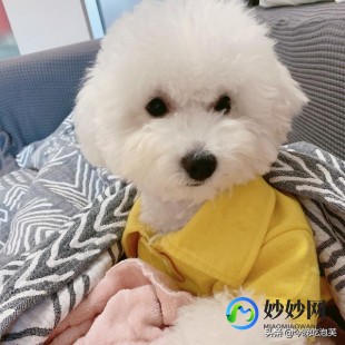 冬天多久洗一次澡,冬天多久洗一次澡好？教你洗澡正确顺序