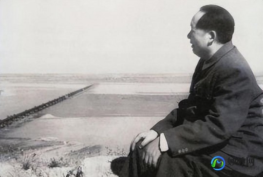 处长了一个肉疙瘩是怎么回事,有个肉疙瘩是什么东西