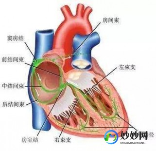 心脏早搏最佳治疗方法,心脏早搏治疗方法有哪些