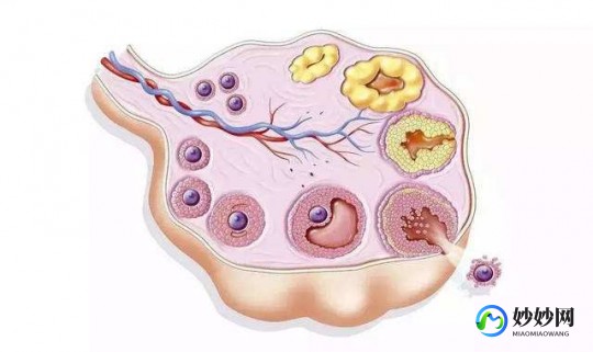 8大特征暗示你已经着床成功,卵子着床成功有啥信号