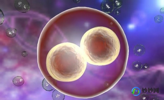 8大特征暗示你已经着床成功,卵子着床成功有啥信号
