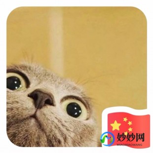 怎么把wx头像加上渐变国旗,wx渐变国旗头像设置攻略