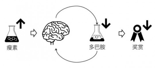多巴胺受体,多巴胺临床应用是什么