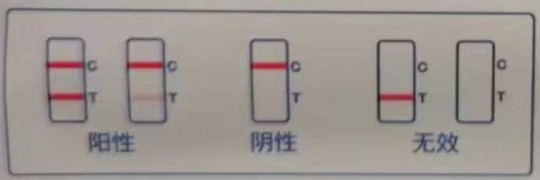 抗原测试纸一条很明显一条不明显,抗原检测两条杠一条很浅几乎看不出来