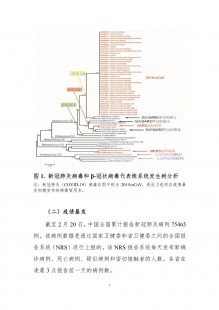 新冠肺炎用药清单,治疗新冠家里备哪些药