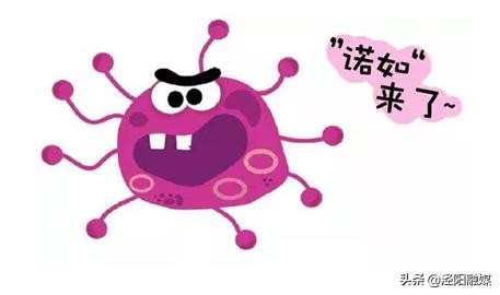 手足口病属于什么传染病,手足口病属于什么类的传染病