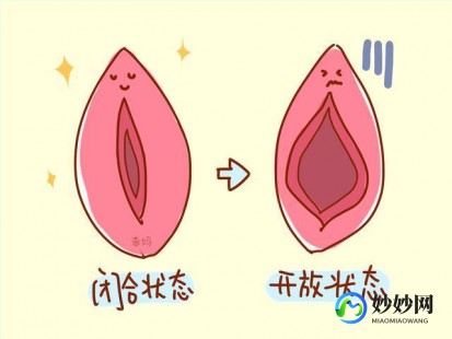 正常阴脣,正常的是什么样的