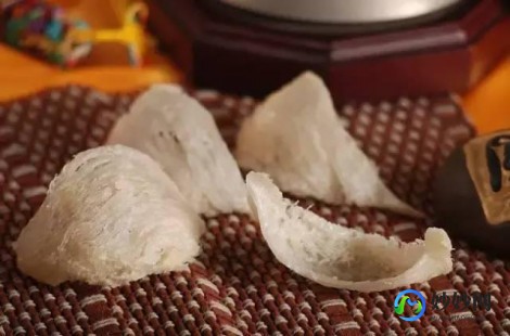 日本人胎素,日本胎盘素的功效与作用