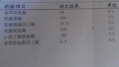 心肌酶,心肌酶高是什么原因