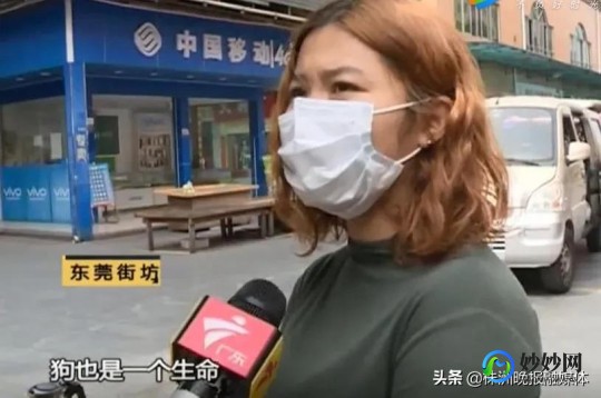 旅行世界有人合成分红犬吗,旅行世界有人合成分红犬吗,旅行世界,合成分红犬的秘诀与攻