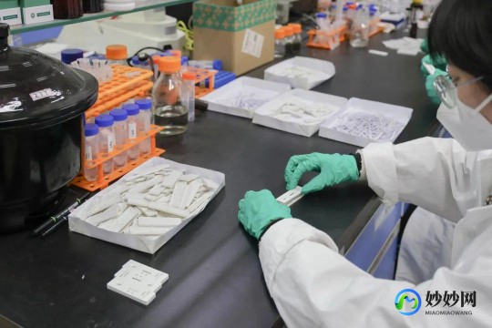 抗原试剂怎么用,家用抗原试剂盒使用方法是什么