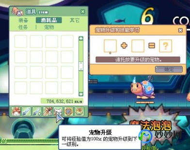 彩虹岛灵宠升级,彩虹岛灵宠怎么升级,彩虹岛灵宠升级攻略,打造你的强大战斗