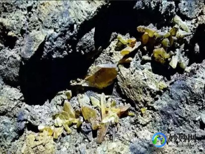 地矿收金之旅无敌版,地矿收金之旅无敌版,地矿收金之旅无敌版手游攻略,探秘矿洞