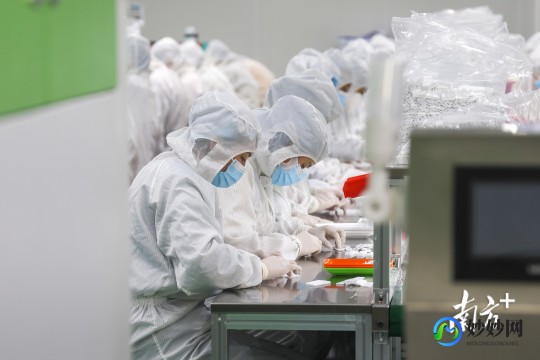 新冠抗原,抗原可以检测出新冠吗