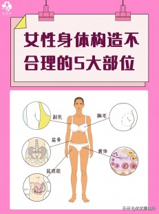 女性图片,构造图名称
