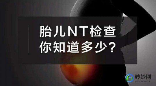 早孕测试,早孕检查项目有哪些