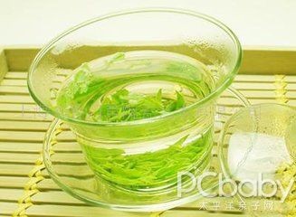苦丁茶减肥,喝苦丁茶能减肥吗